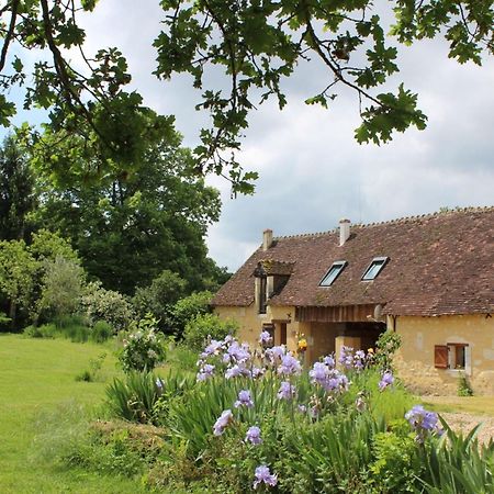 Gîte à l'ombre des chênes Châteauvieux Esterno foto
