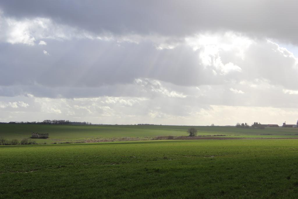 Gîte à l'ombre des chênes Châteauvieux Esterno foto